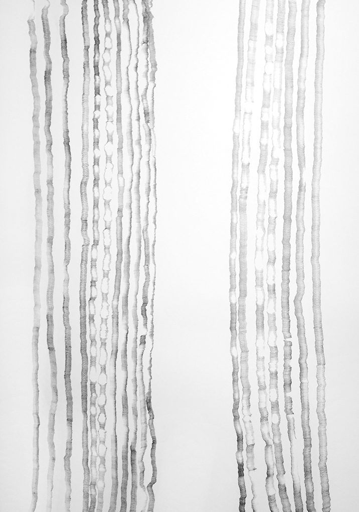 NZS, 2015 Pencil on paper 84 x 60 cm, framed